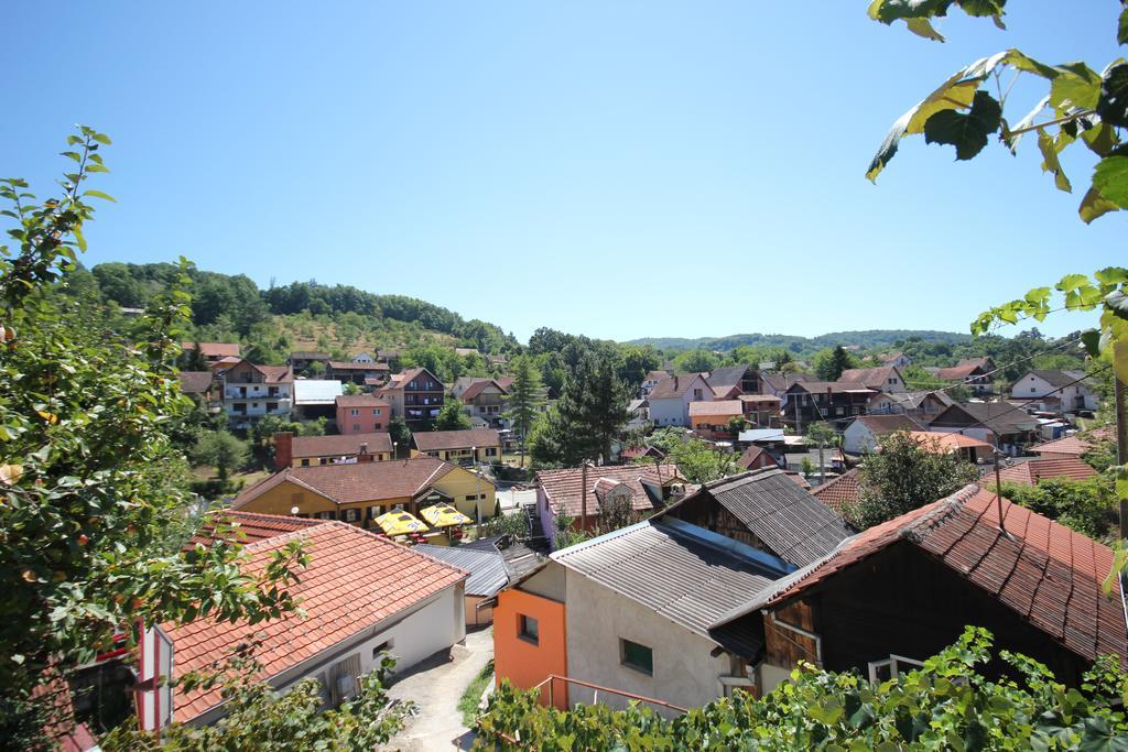 Guesthouse Edelnice Gornja Trepca Exterior photo